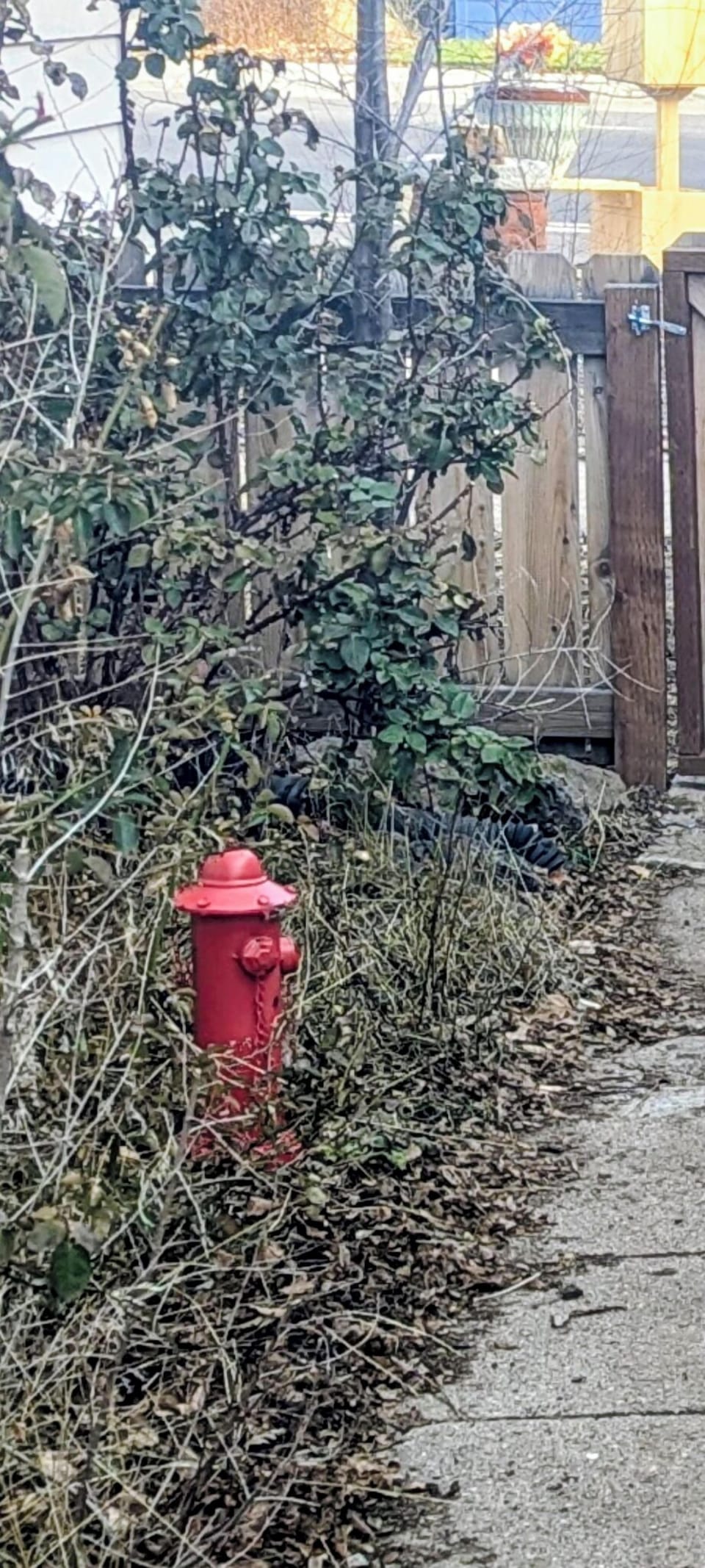 A dedicated fire hydrant in the dog run for your furry friends.