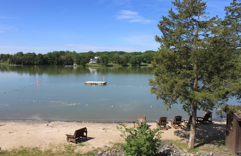 Nature, Outdoors, Scenery, Chair, Furniture