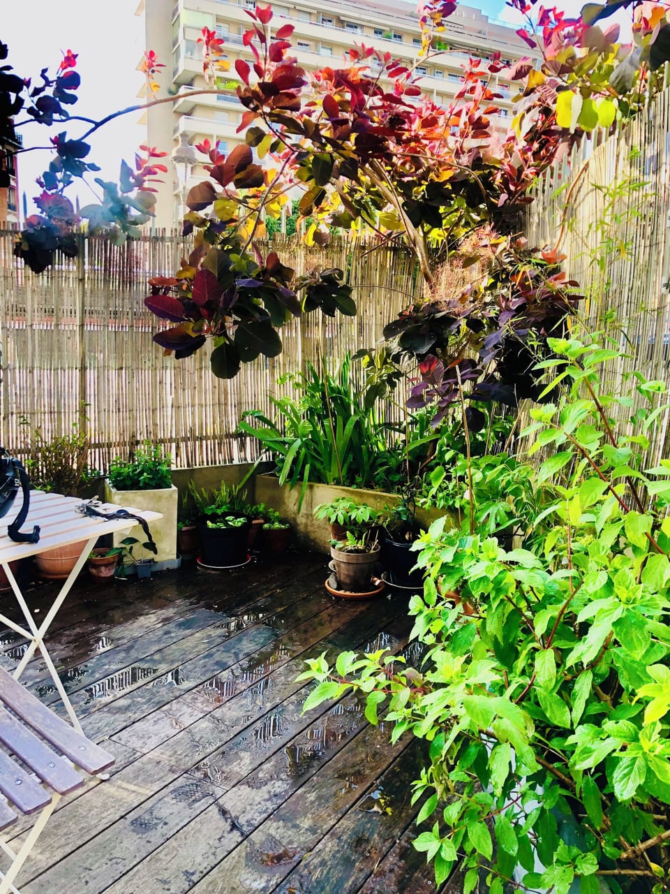 Terrace/patio