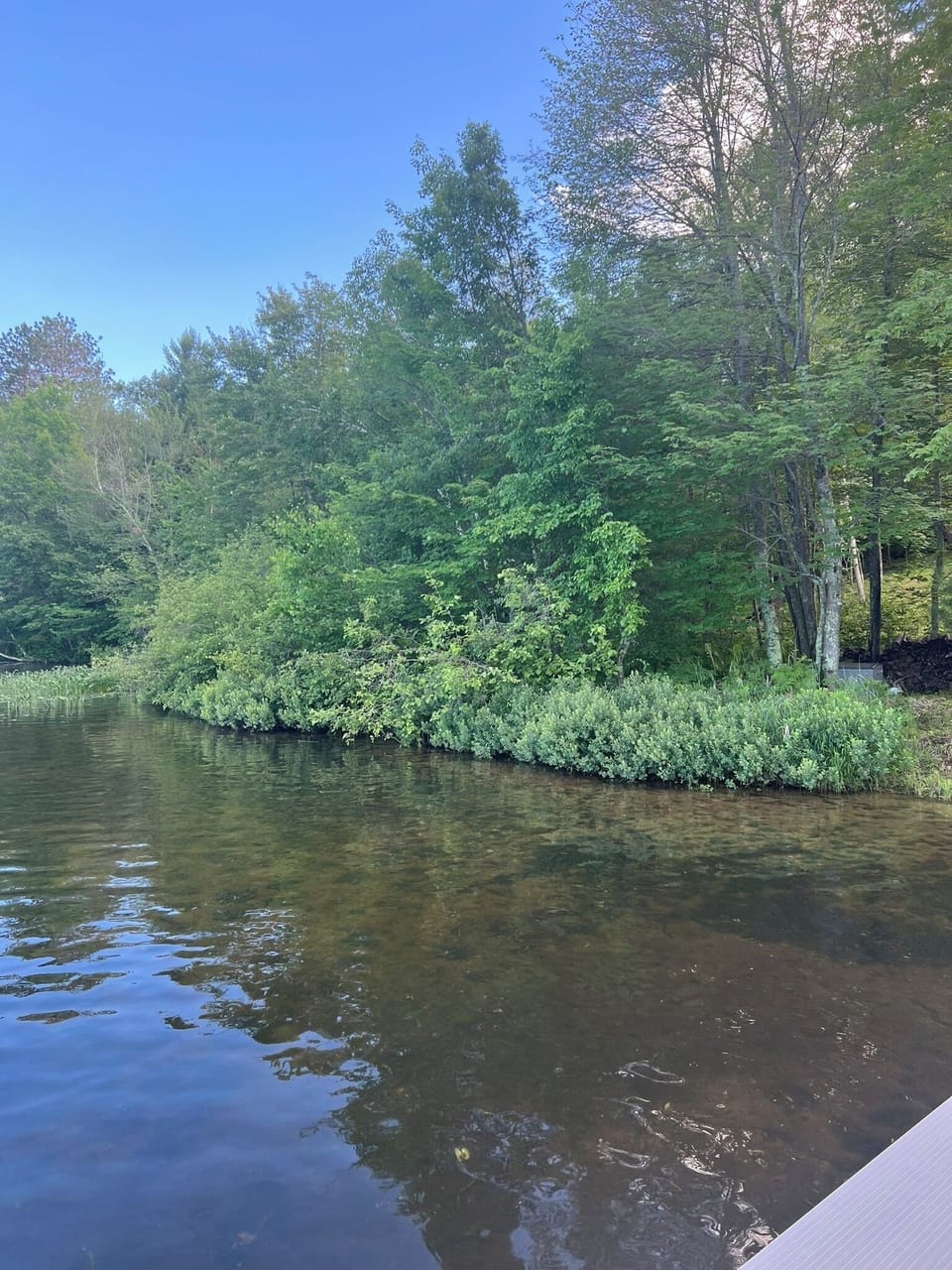 private shoreline