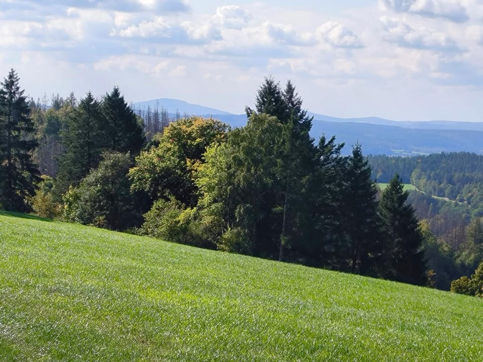 View from Holiday Home [summer]