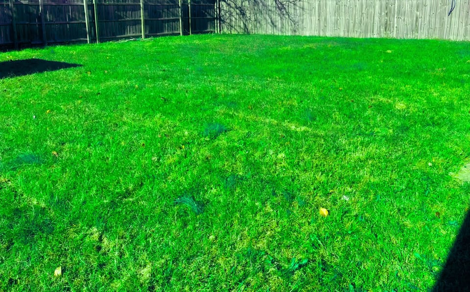 Large fully fenced yard - perfect for family fun, children can play/walk pets