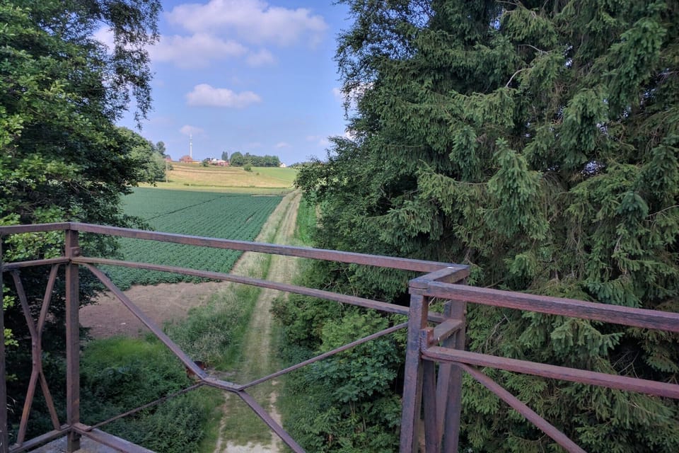 Surroundings [summer] (1-5 km)