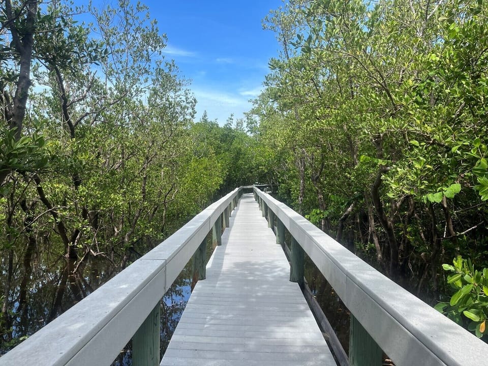 Boardwalk to Boat Docks