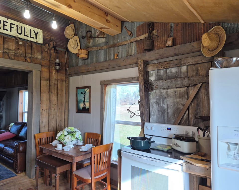 again you can see exterior of the original Cabin and the old roof line.