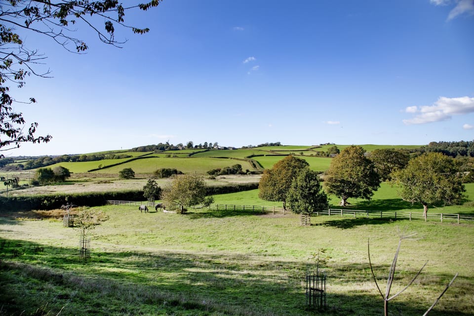 Pillhead Cart Linhay, Bideford: North Devon
