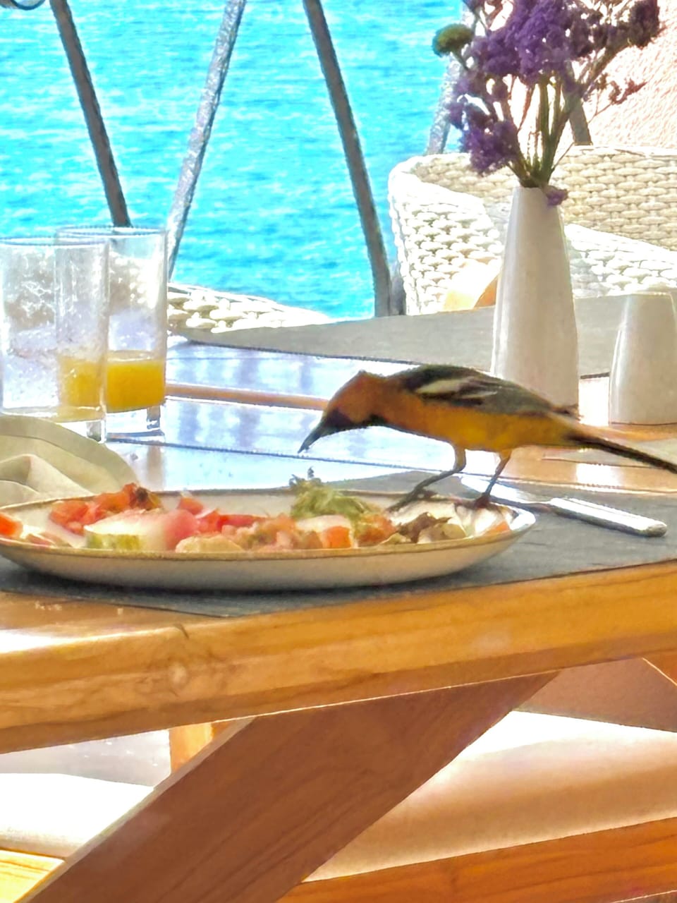 Food and drink