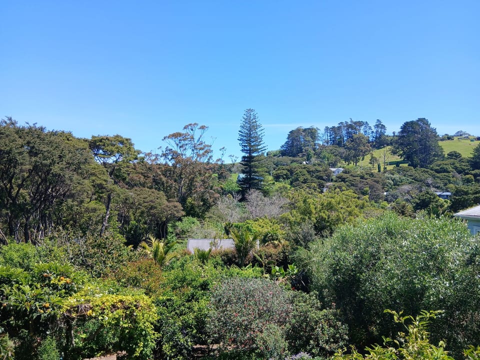 View from kitchen window and back deck