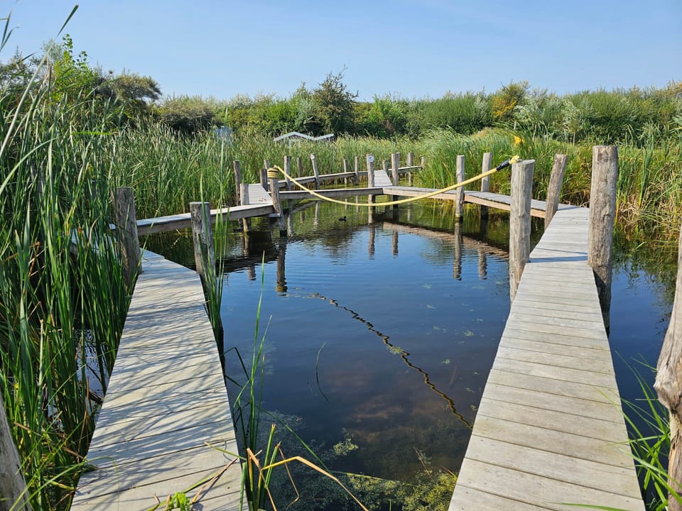 24 Water Playground 1