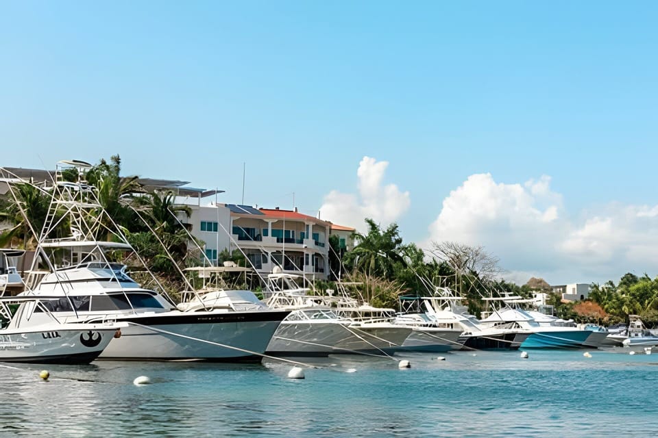 Marina