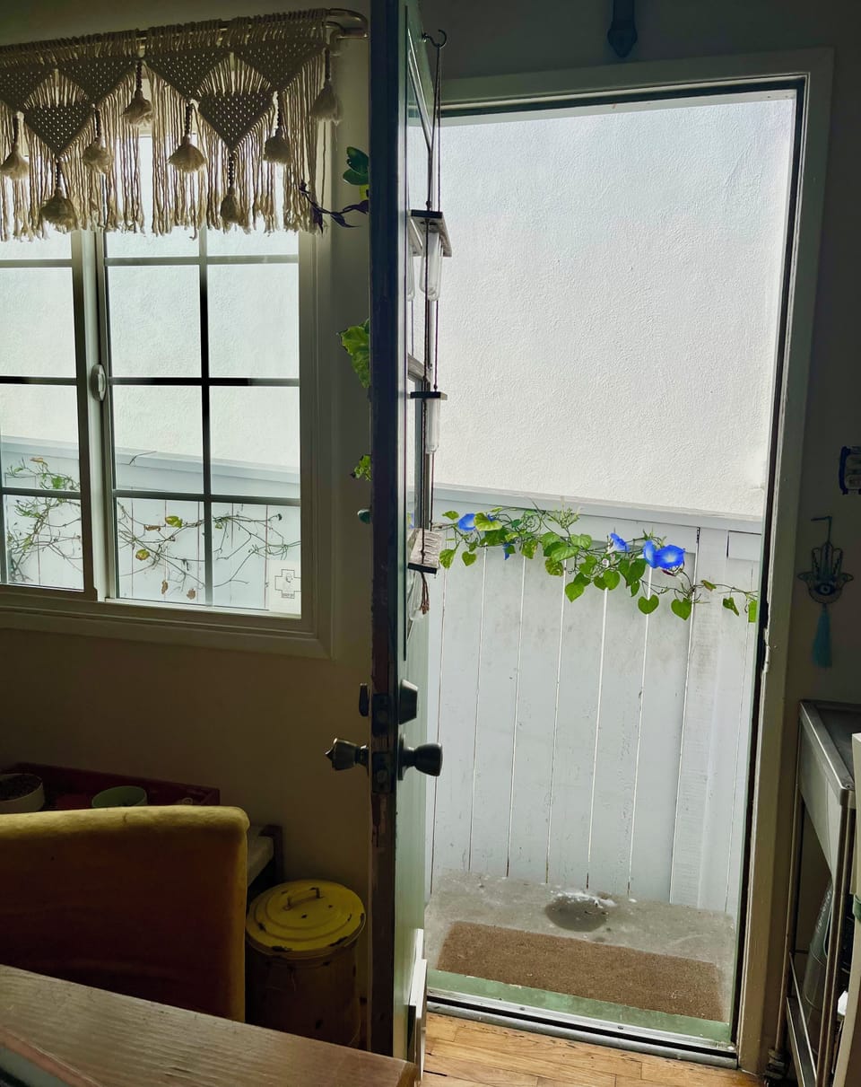Back door to side yard