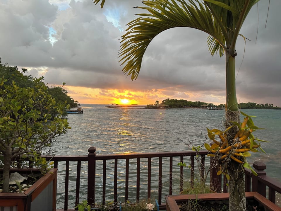 View from property