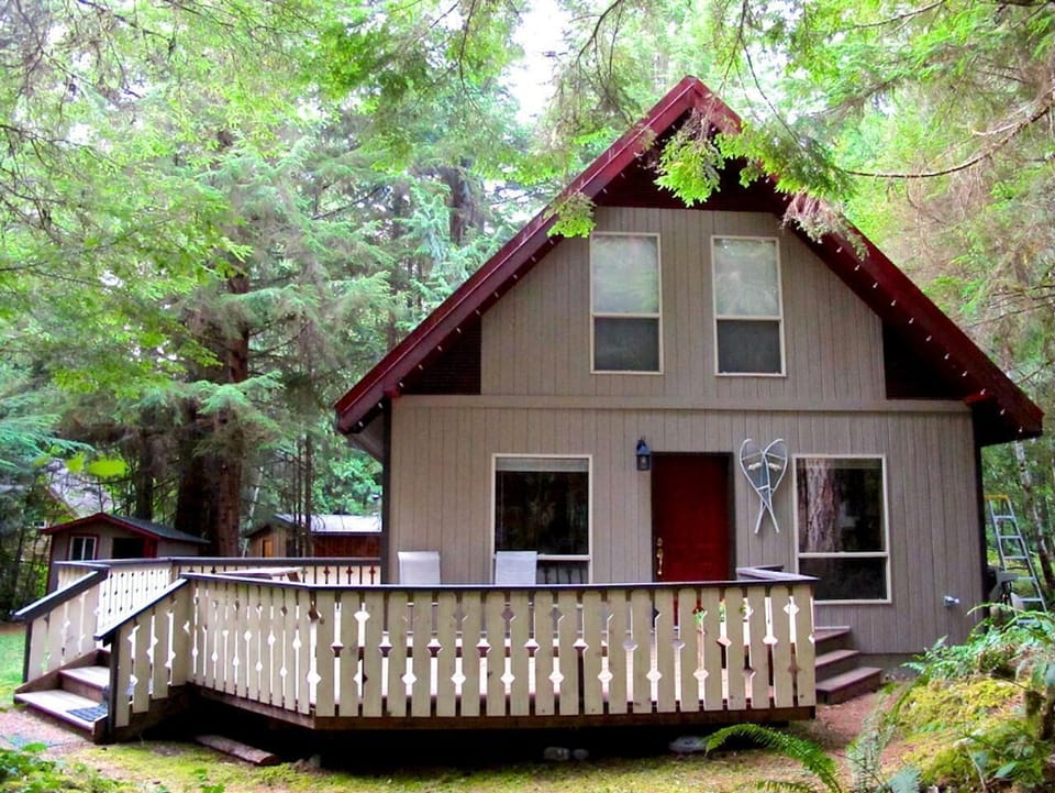 Cozy forest cabin with spacious wraparound deck for relaxing outdoors