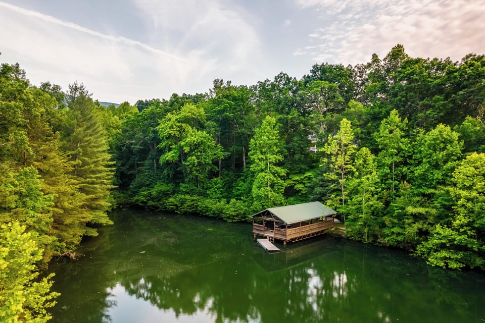 Discover your sanctuary where forest meets tranquil water.
