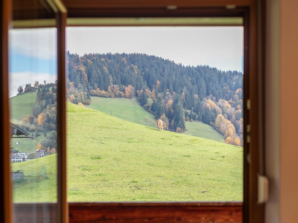 View from Holiday Home [summer]