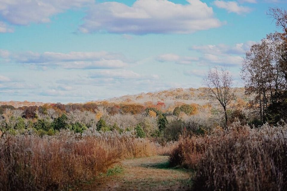 Cedars of Lebanon State Park -6.8 mi