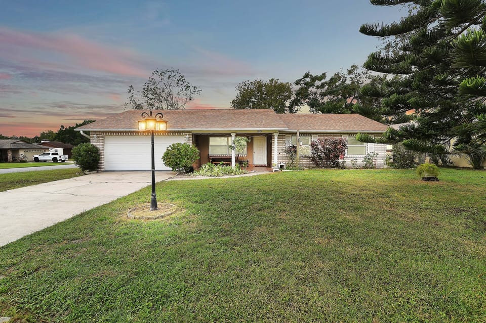 Grass, Outdoors, Shelter, Lawn, Tree