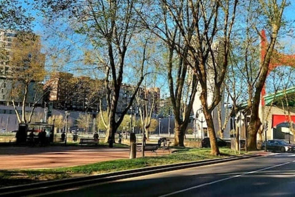 view from property