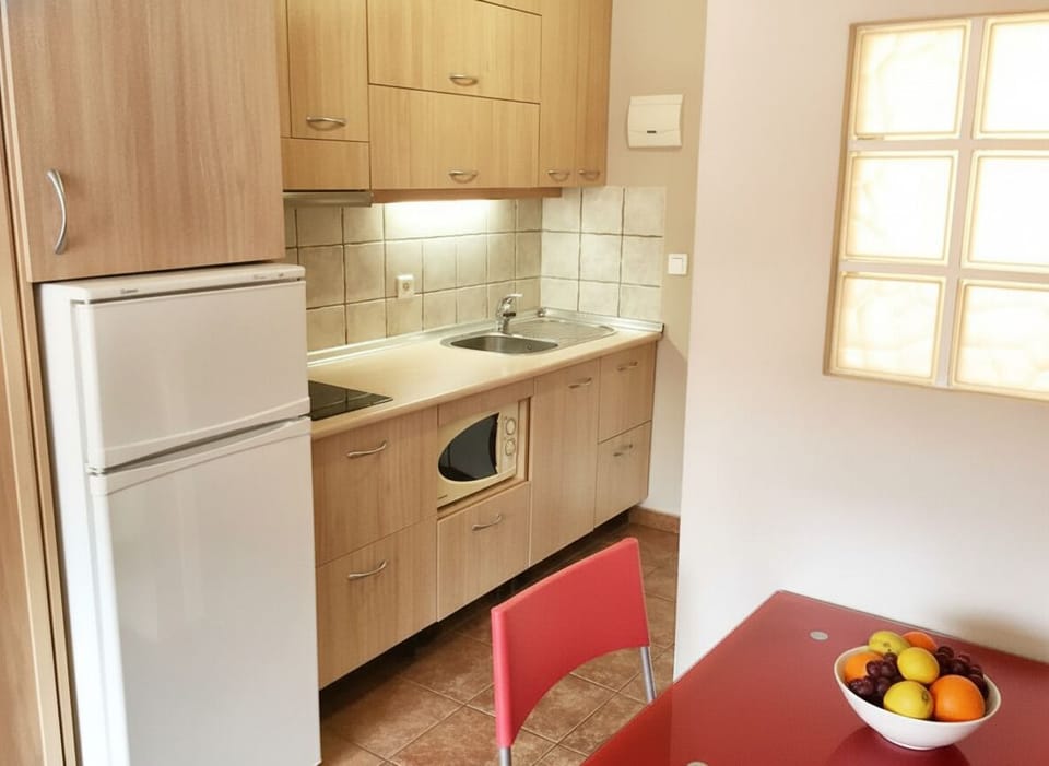 Compact Modern Kitchen