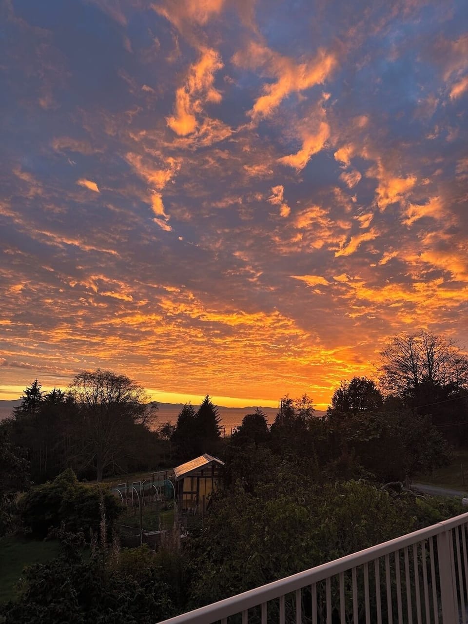 View from property