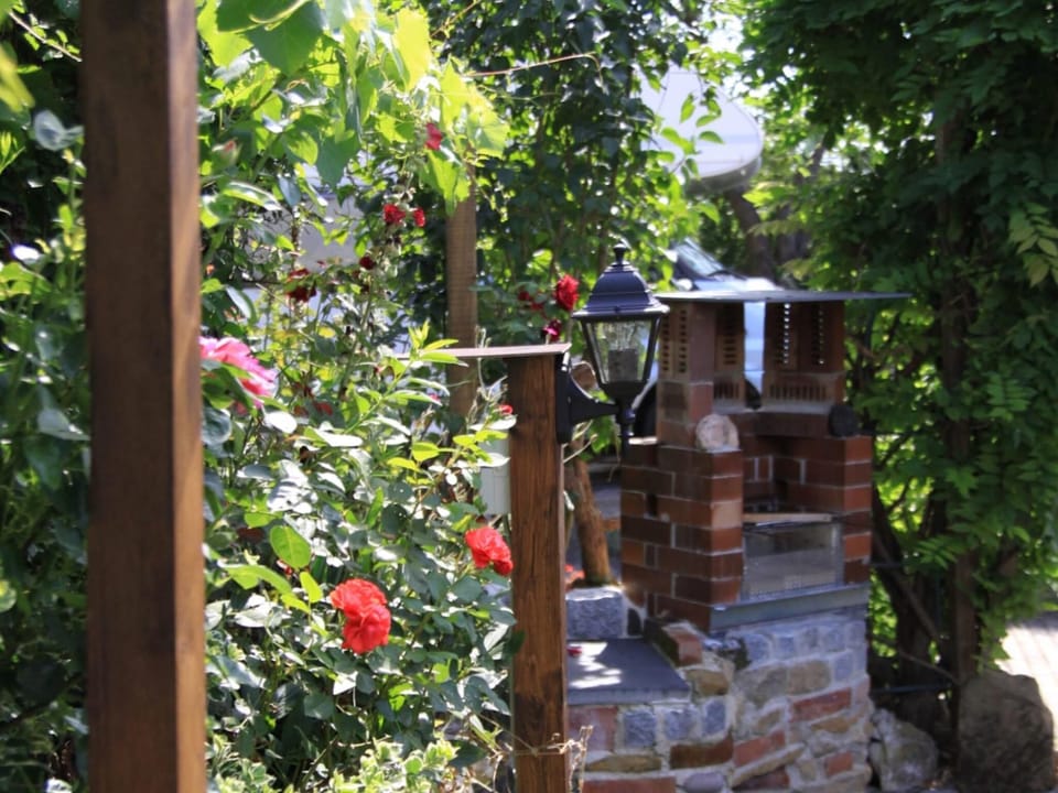 Garden [summer]