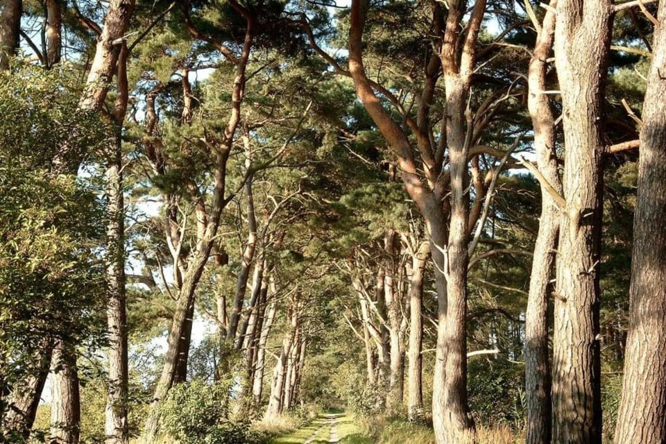 Region [summer] (>5 km)