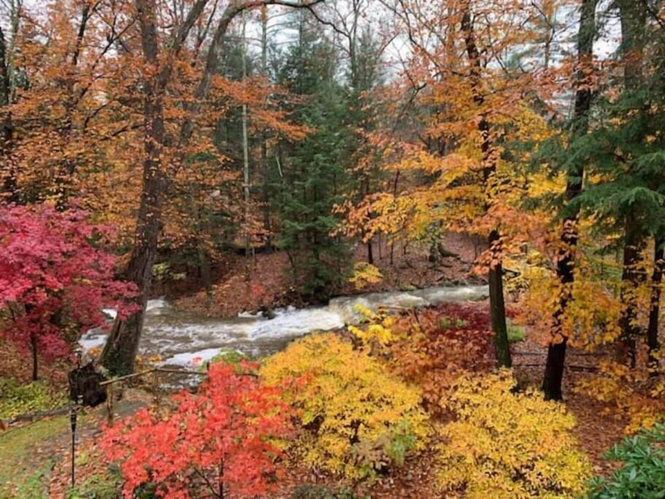 The waterfalls and streams!