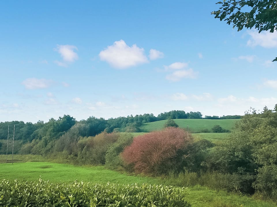 View | Revita, Egremont