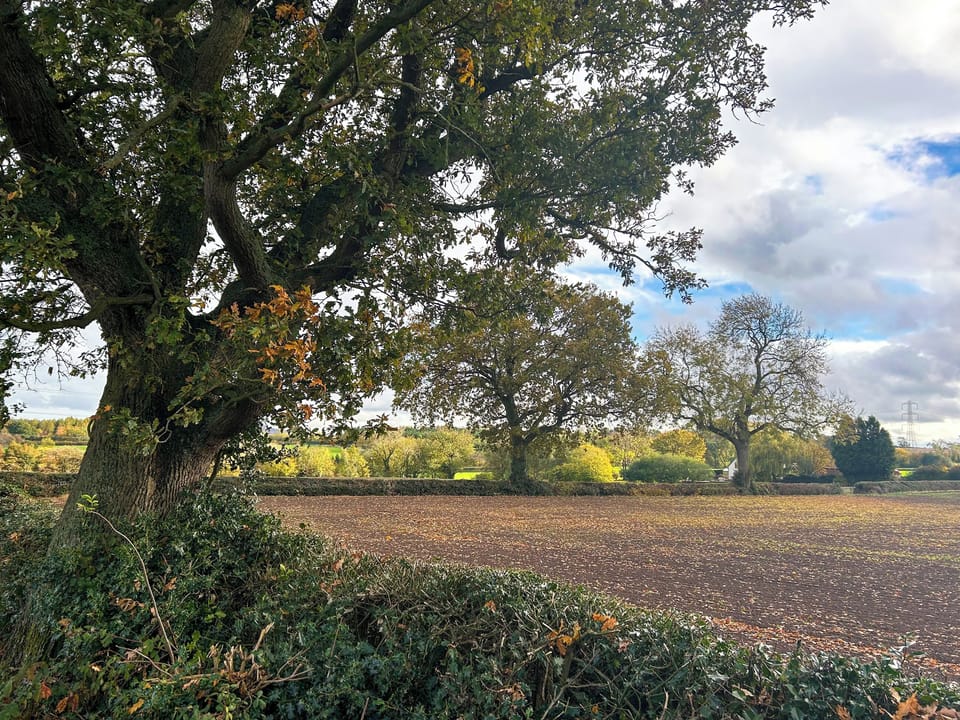 Outdoor | Kings Moor Retreat 3 - Kings Moor Retreat, Coleorton, near Coalville