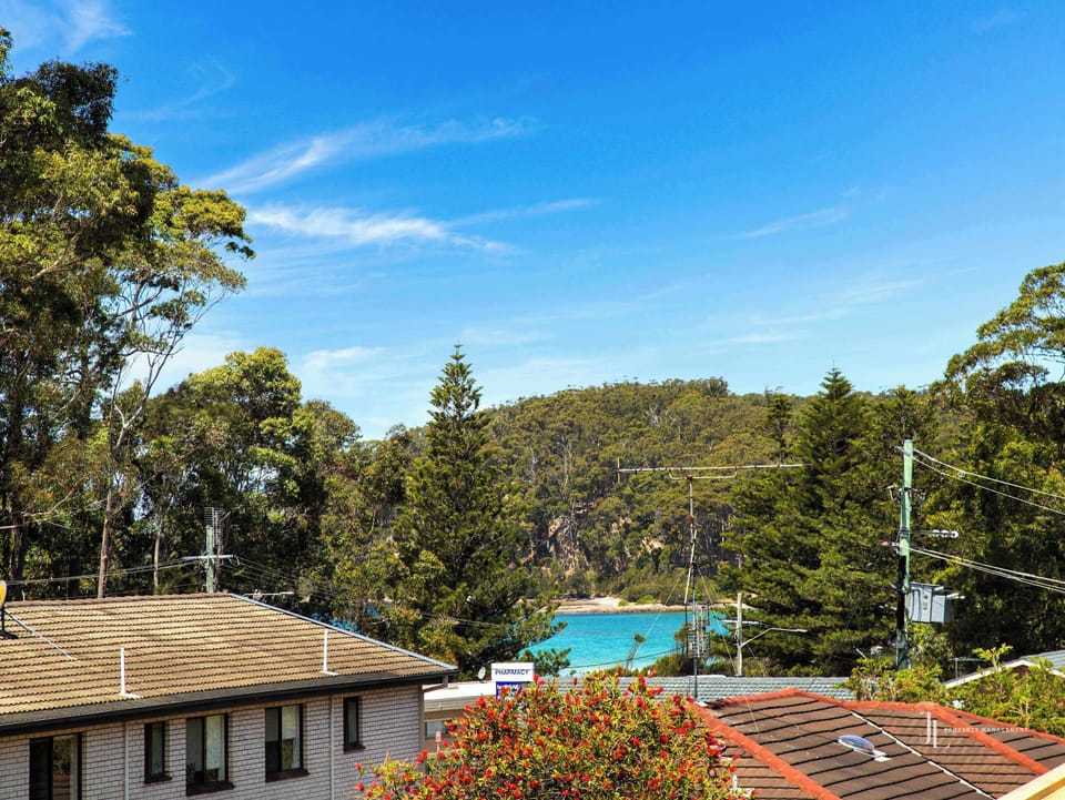 View from Back Deck