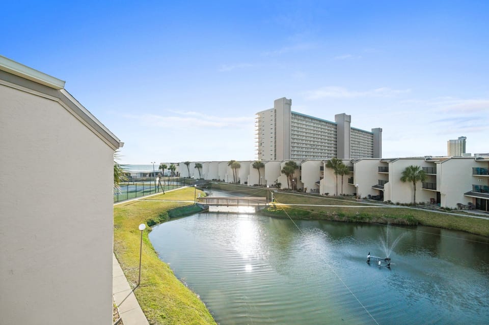 gorgeous koi pond views