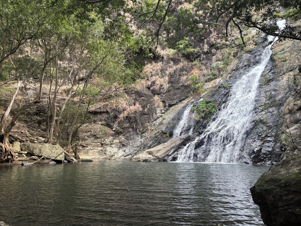 Local Falls