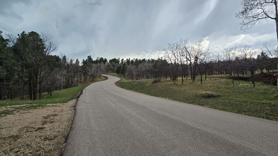 Looking out from the cabin driveway.