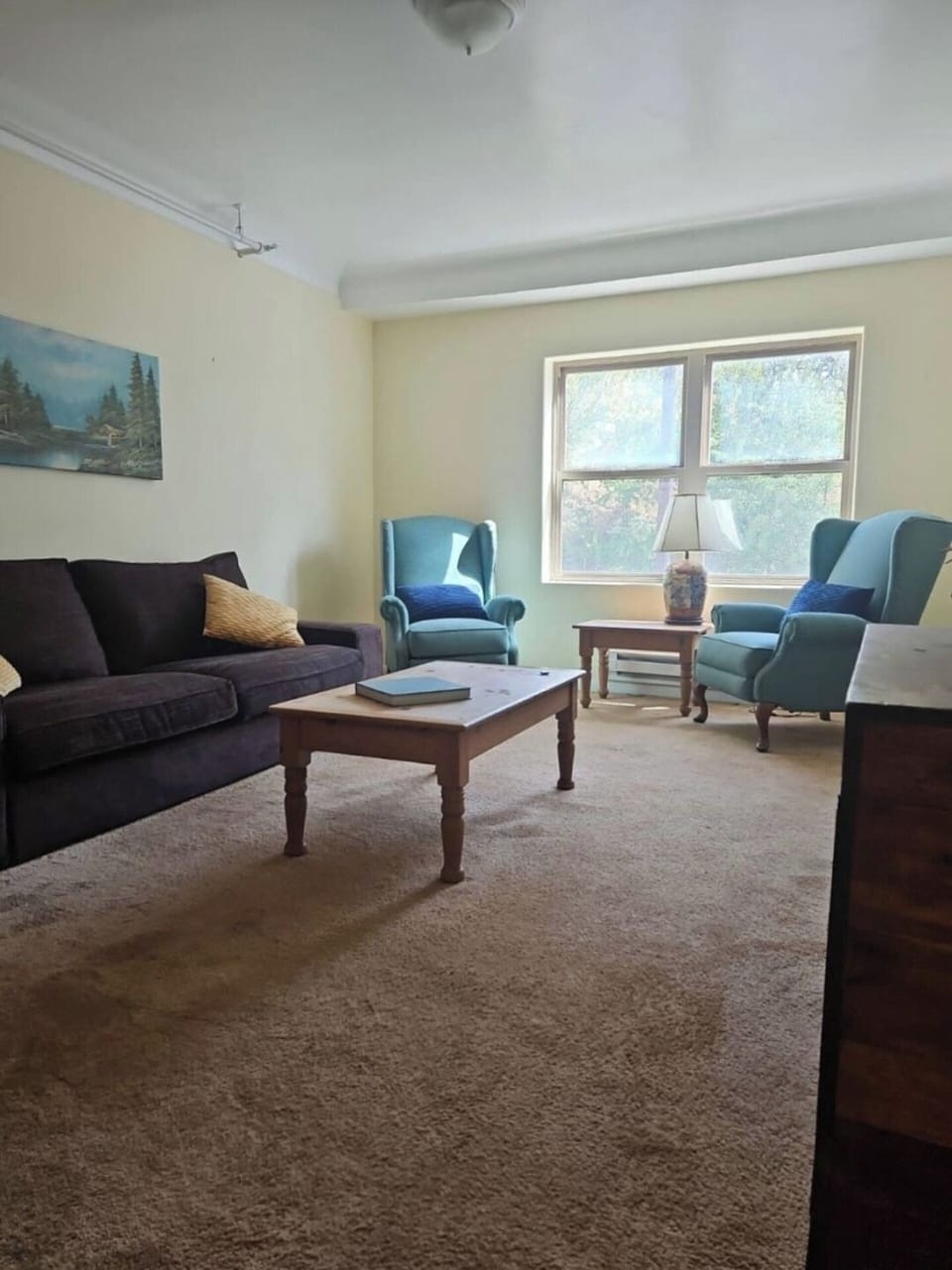 Shared living area