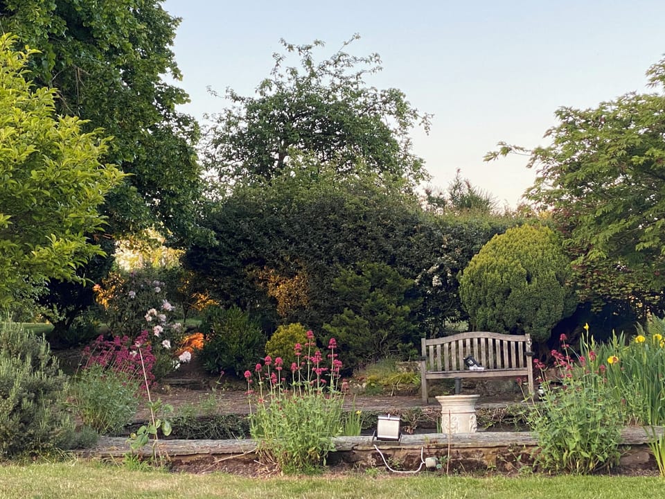 Sit at the pond and watch the doves doing their flypast!