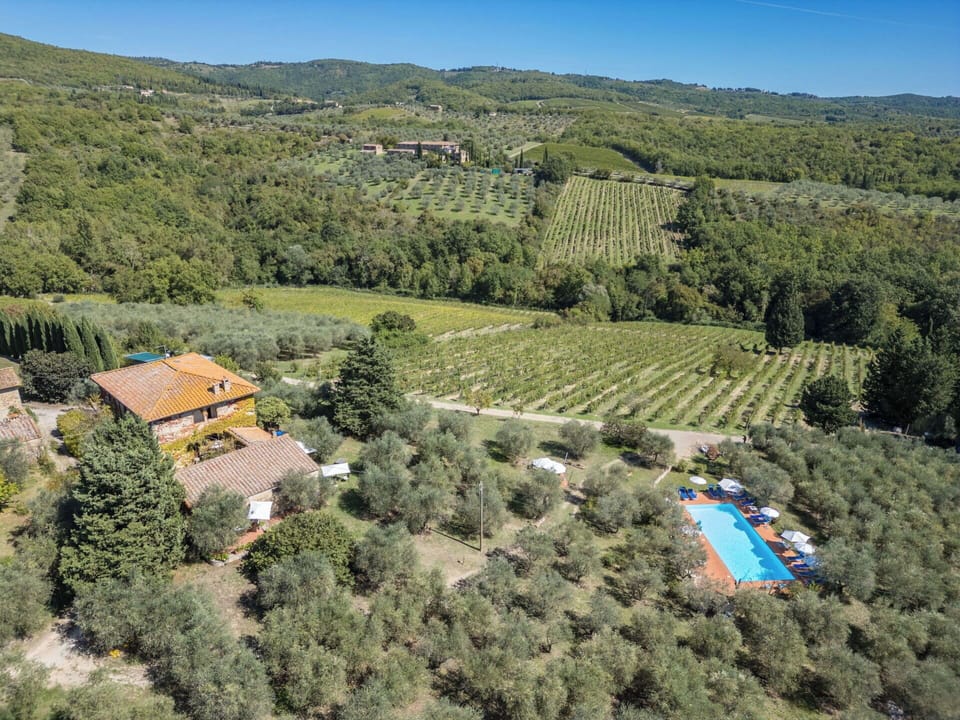 Freezing, Winter, Snow, Larch