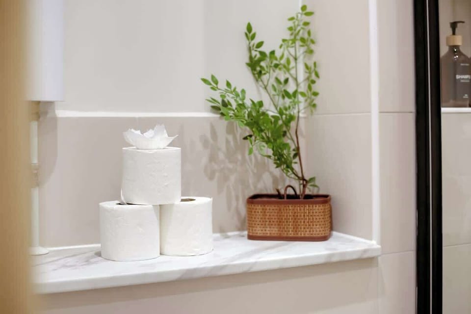 Tissues and decorative plants