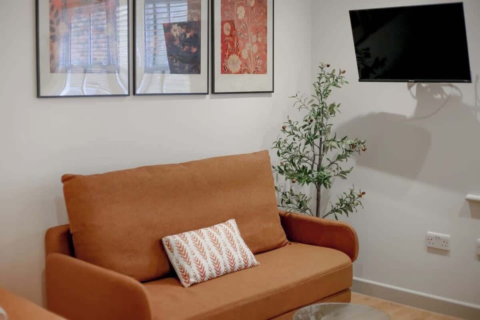 Corner area with sofa bed and TV