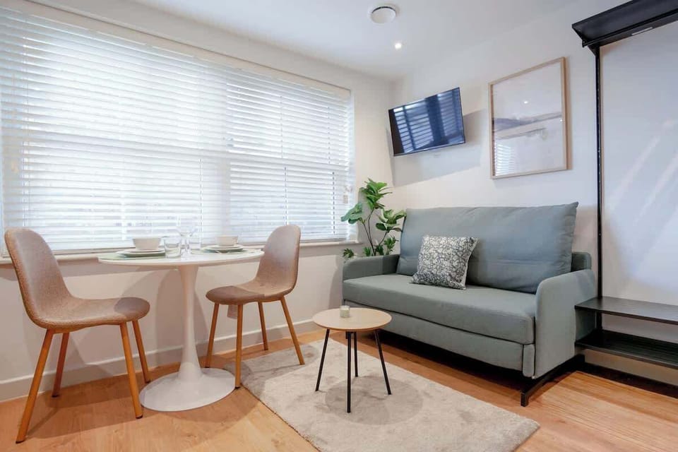 Sofa bed, TV, dining table with chairs, and center table in living area
