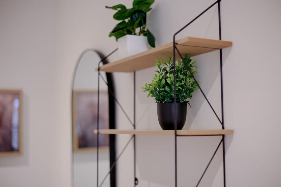 Wall hanging frame for plants