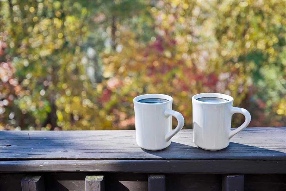 Sip morning coffee on the deck with forest views.