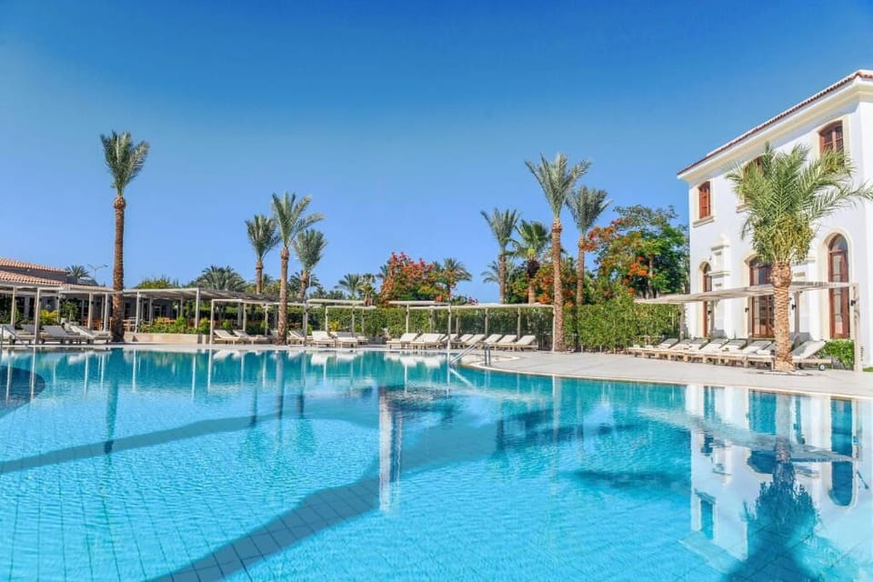 Drift into calm with wide-open water and palm-lined serenity.