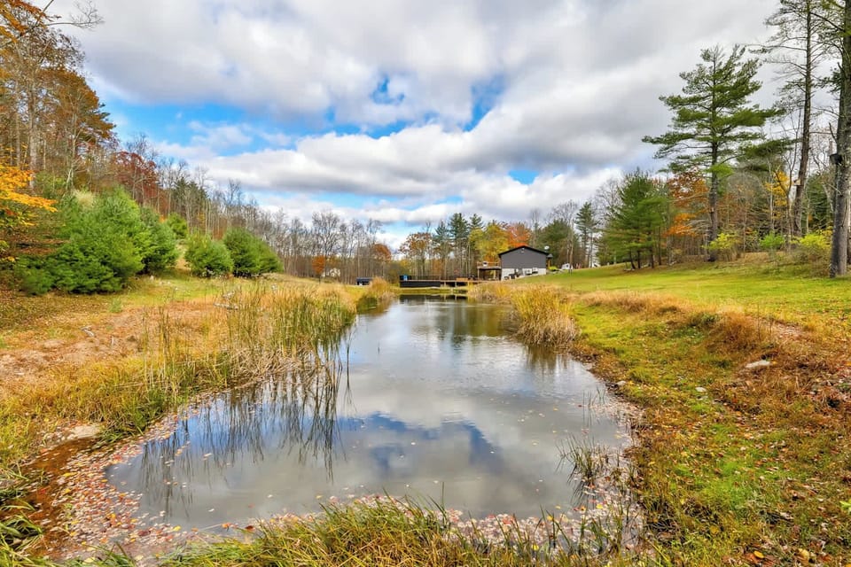 Pond | Backyard | Fishing poles included