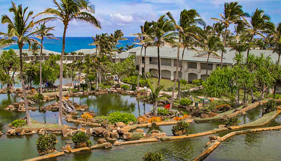Stunning gardens, palms, ponds, and streams!