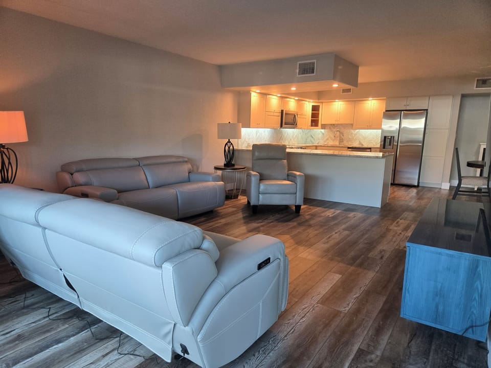 Living room and kitchen