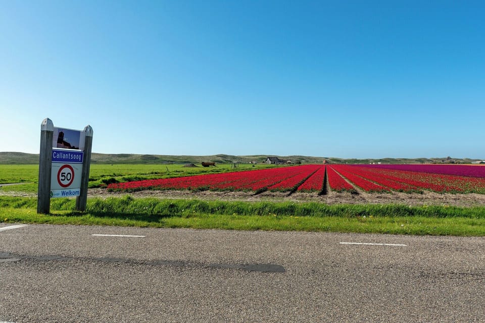 Surroundings [summer] (1-5 km)