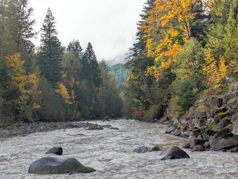 Sandy River at the end of the trail that leads from our house to the water 