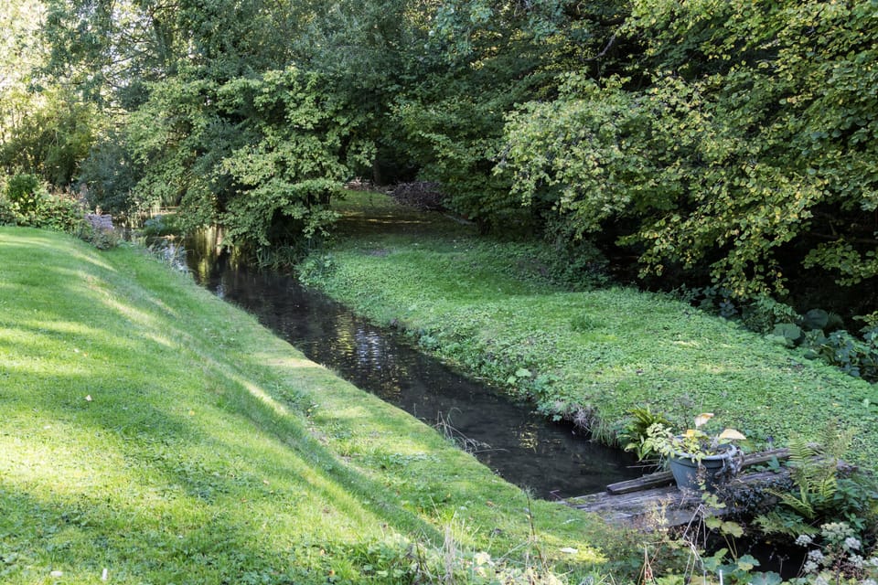 The calming stream (unfenced)