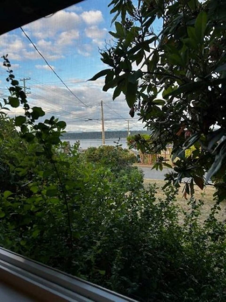 View from property