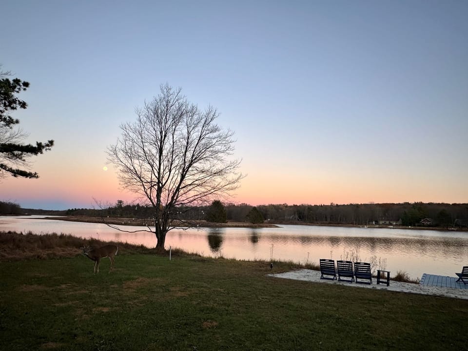 Sunset reflections as the lake settles into evening